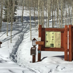 American-Lake-Trail-Winter-Aspen