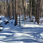 Hunter-Creek-Trail-Winter