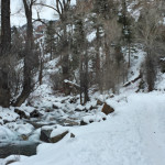 Grizzly-Creek-Trail-Winter-Glenwood-Springs