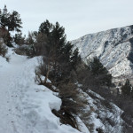 Pioneer-Cemetery-Trail-Winter-Glenwood-Springs