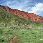 Wulfsohn-Trail-Glenwood-Springs