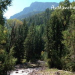 Avalanche-Creek-Trail-Carbondale
