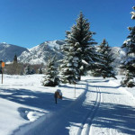 Bernese-Boulevard-Trail-Winter-Nordic-Aspen