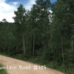 Larkspur-Mountain-Road-103-Woody-Creek