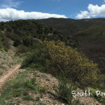 South-Porcupine-Trail-Carbondale