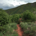 Vanderhoofin’ It Trail