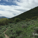 Cozy-Point-Trail-Aspen