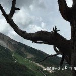 Legend-of-Tall-Tree-Trail-Lizard-Lake-Marble