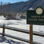 north-star-nature-preserve-winter-aspen