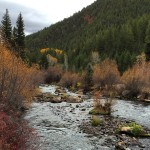 Pumpkin-in-the-Fryingpan-River