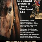 Roaring-Fork-Valley-Horse-Council-RFMBA-Trail-Safety-Flyer